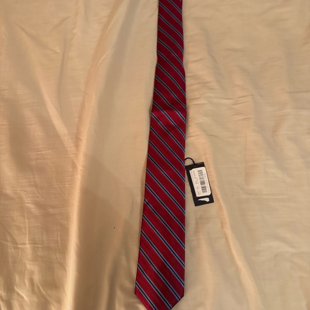 Daniel Cremieux Burgundy and Navy Striped Tie